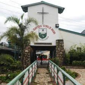 Read more about the article St Davids Bonda High School Review In 2024