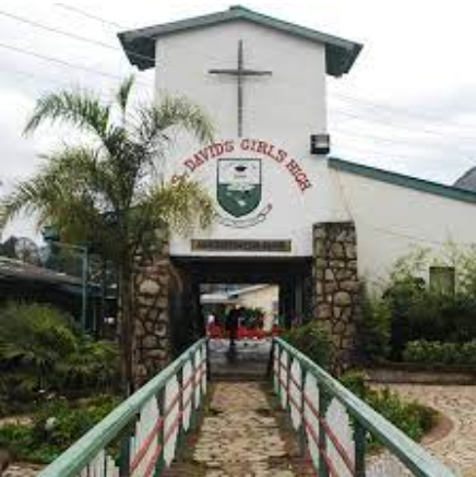 You are currently viewing St Davids Bonda High School Review In 2024