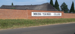 Read more about the article Mkoba Teachers College Review In 2024