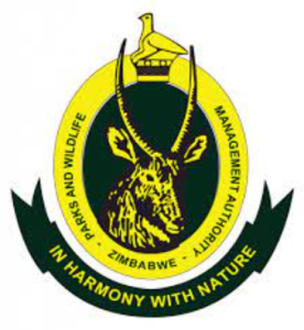 Read more about the article Zimbabwe Institute of Wildlife Conservation Review In 2024